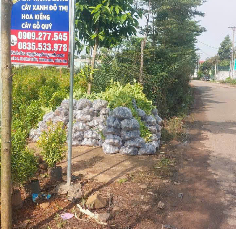 CHĂM SÓC BẢO DƯỠNG CẢNH QUAN 